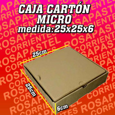 CAJA MICRO 25x25x6
