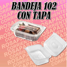 BANDEJA ESTUCHE PLASTICO 102