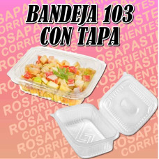 BANDEJA ESTUCHE PLASTICO 103