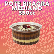 POTE PLASTICO C/BISAGRA MEDIANO