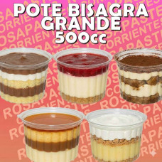 POTE PLASTICO C/BISAGRA GRANDE