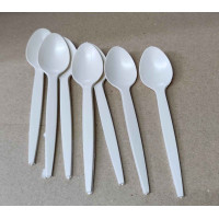 CUCHARA PLASTICA ECO x10